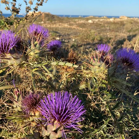 Pembroke Suites Bed & Breakfast 3*